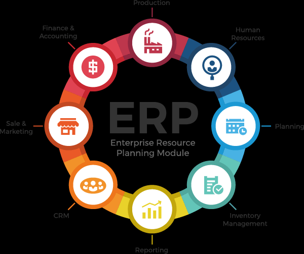 Logo Tiger ERP B2B sistemleri